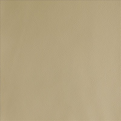 Kasmir BY DESIGN        WHEAT           